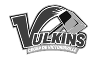 Vulkins de Victoriaville