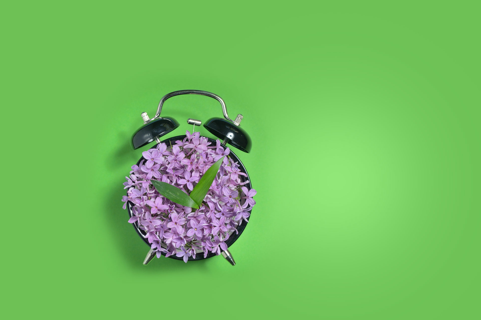 Consultez nos catalogues remplis de vêtements corporatifs et d'articles promotionnels